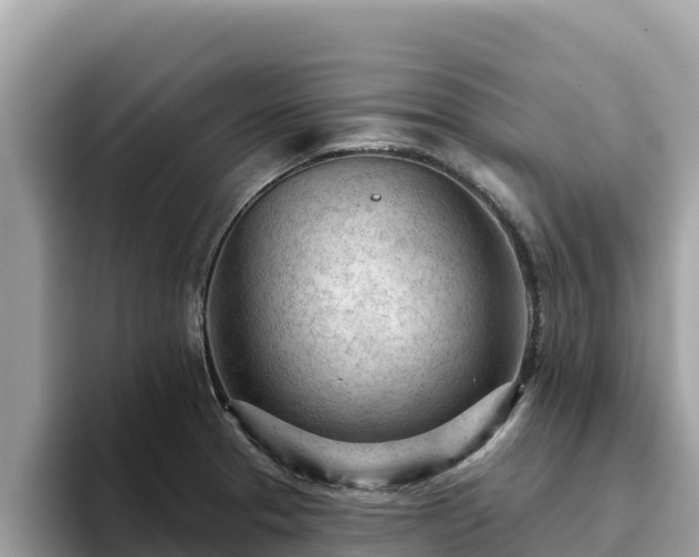 X0000093421329200710190957
