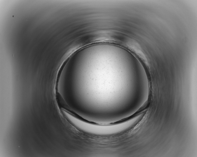 X0000093421330200710190957