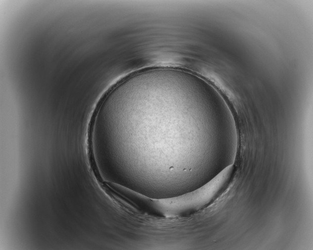 X0000093421331200710190957