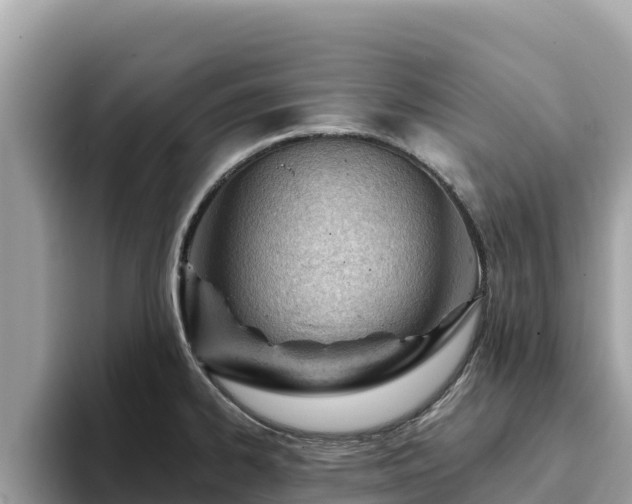 X0000093421334200710190957