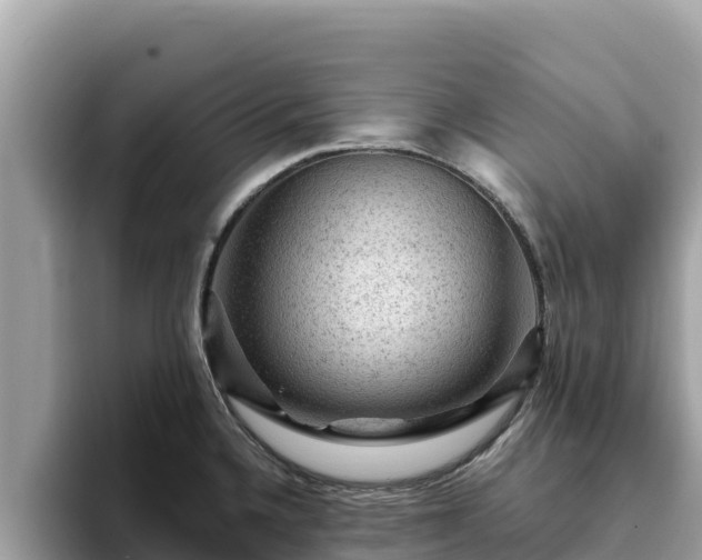 X0000093421336200710190957