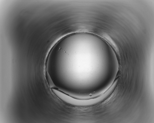 X0000093421340200710190957