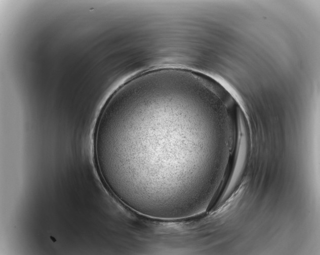 X0000093421341200710190958