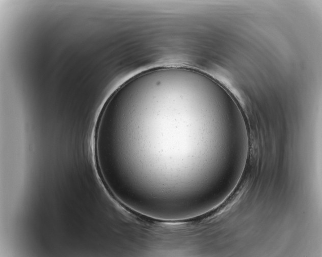X0000093421343200710190958