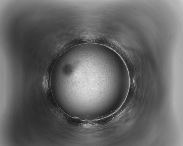 X0000093421348200710190957