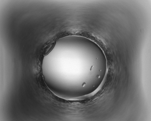 X0000093421349200710190957