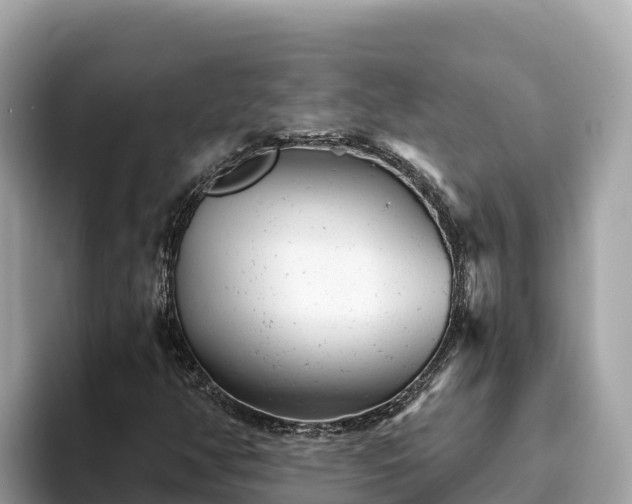 X0000093421350200710190957