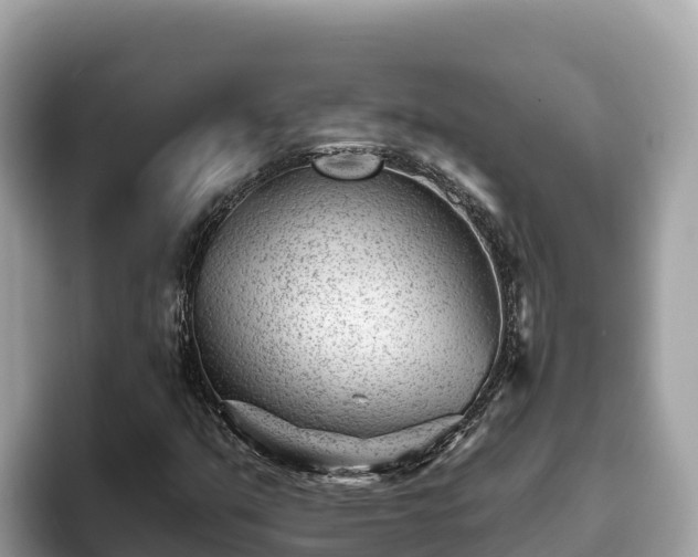 X0000093421351200710190957