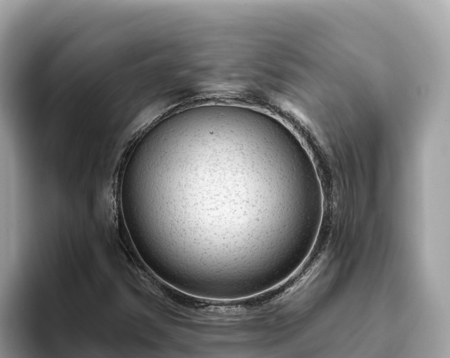 X0000093421354200710190957
