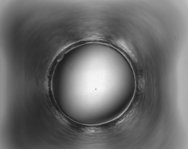 X0000093421356200710190957