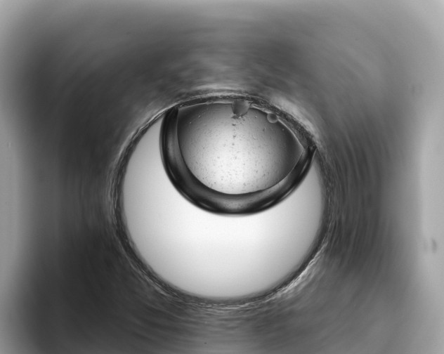 X0000093421357200710190957