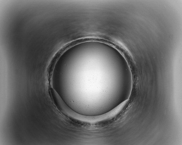 X0000093421360200710190957