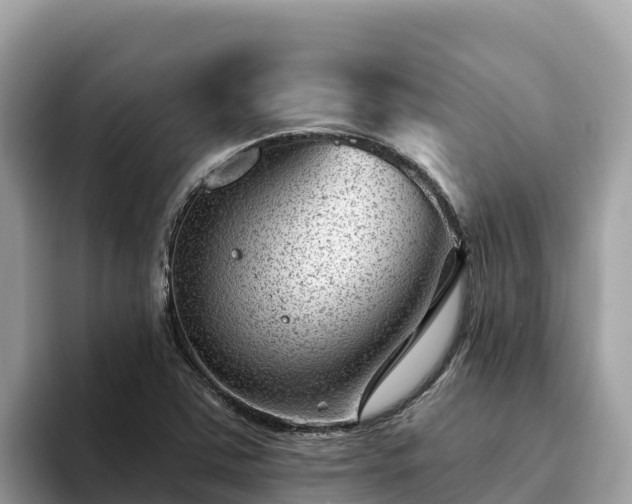 X0000093421363200710190957