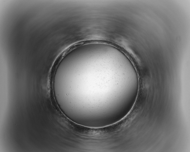 X0000093421364200710190957