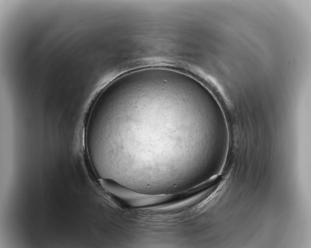X0000093421365200710190957