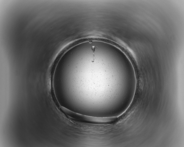 X0000093421368200710190957