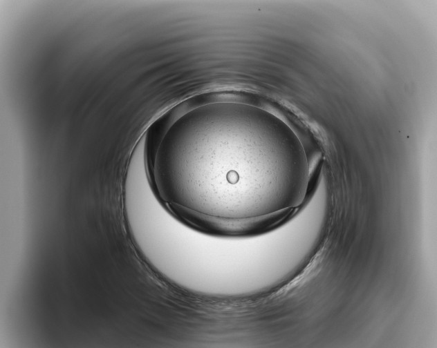 X0000093421369200710190957