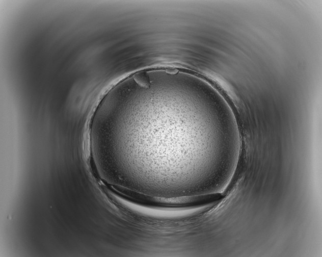 X0000093421371200710190957