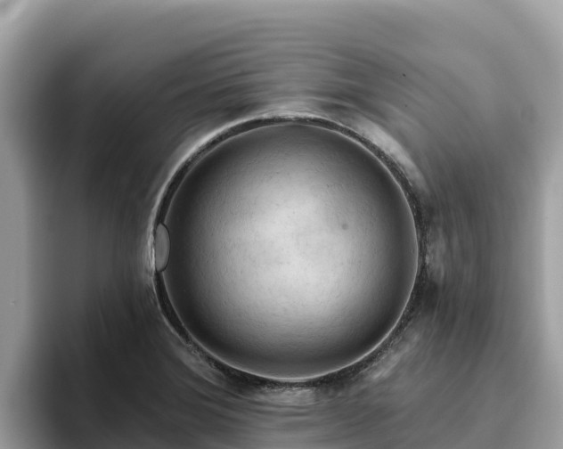 X0000093421372200710190957
