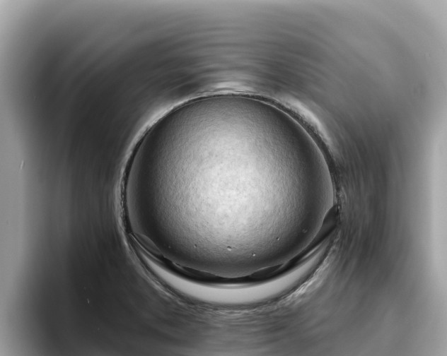 X0000093421373200710190957