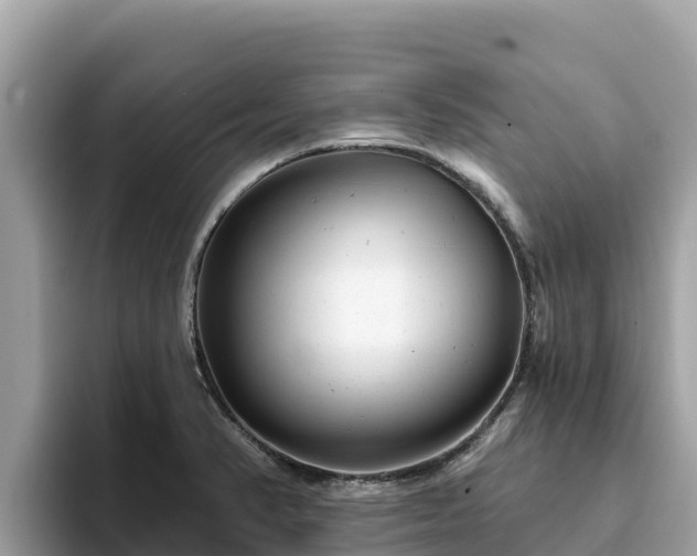 X0000093421374200710190957