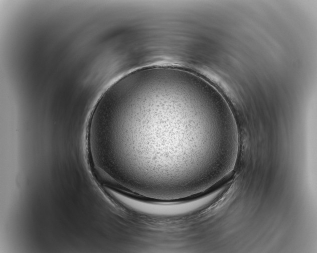 X0000093421375200710190957