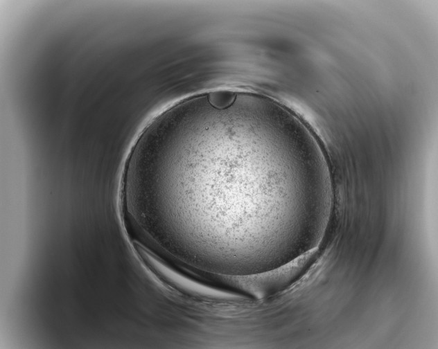 X0000093421379200710190956