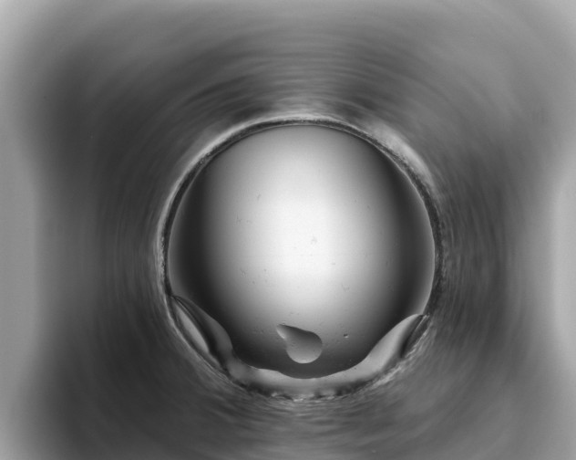 X0000093421380200710190956