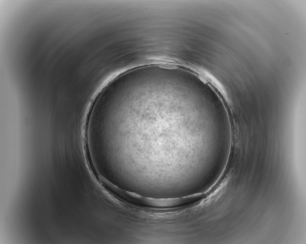 X0000093421381200710190956