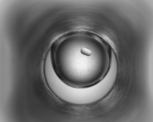 X0000093421384200710190956