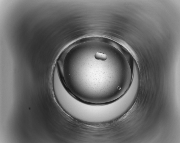 X0000093421388200710190956