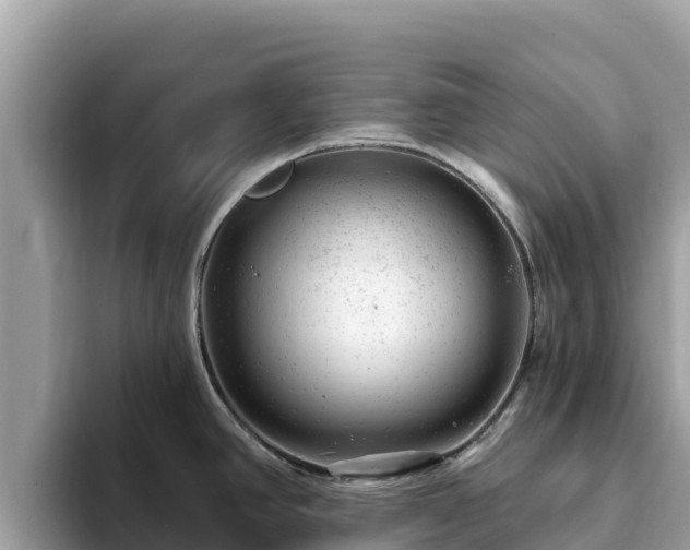 X0000093421390200710190956