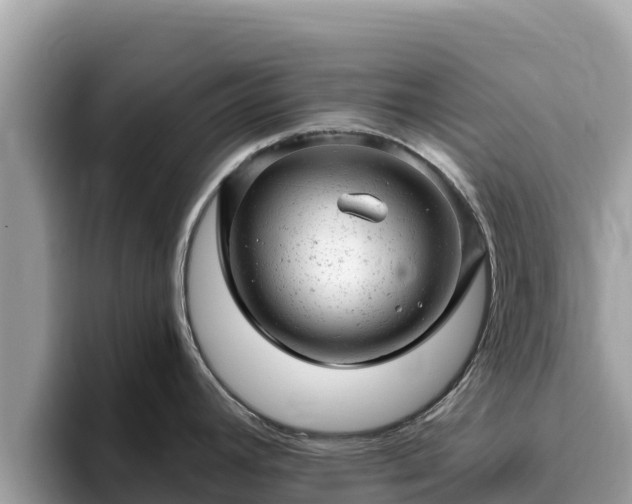 X0000093421392200710190956
