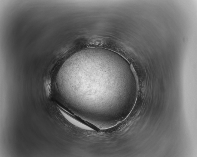 X0000093421394200710190956