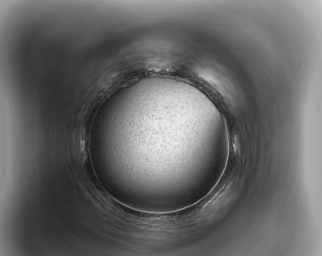 X0000093421396200710190956