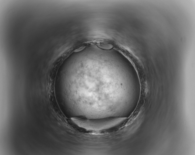 X0000093421399200710190956