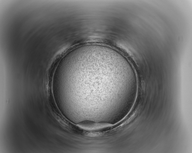 X0000093421403200710190956