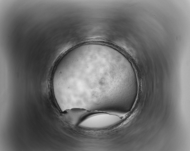 X0000093421405200710190956