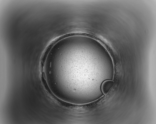 X0000093421408200710190956