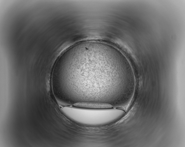 X0000093421409200710190956