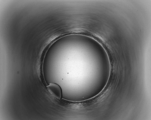 X0000093421410200710190956