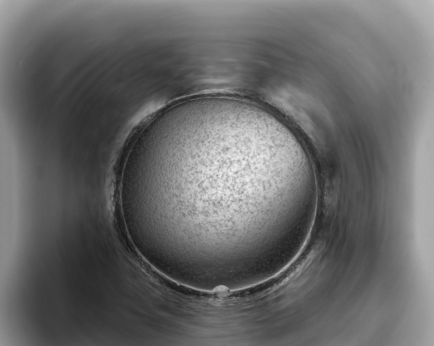 X0000093421411200710190956
