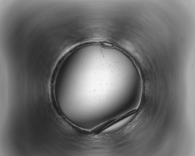X0000093421412200710190956