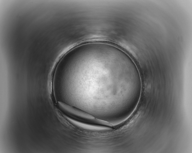 X0000093421413200710190956