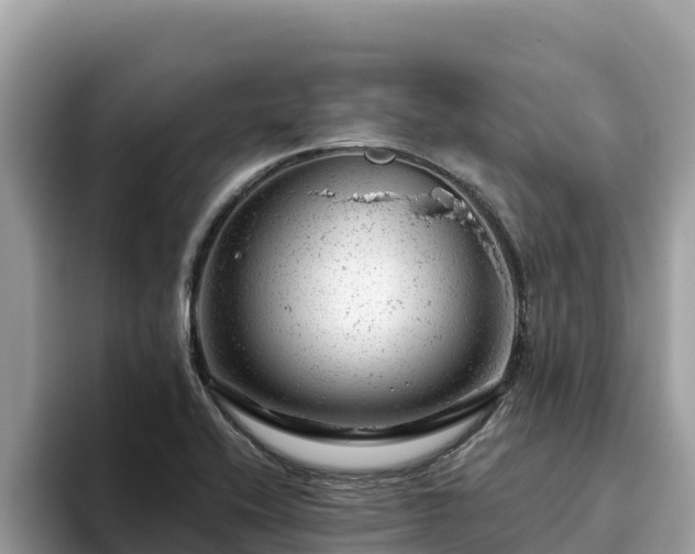 X0000093421416200710190956