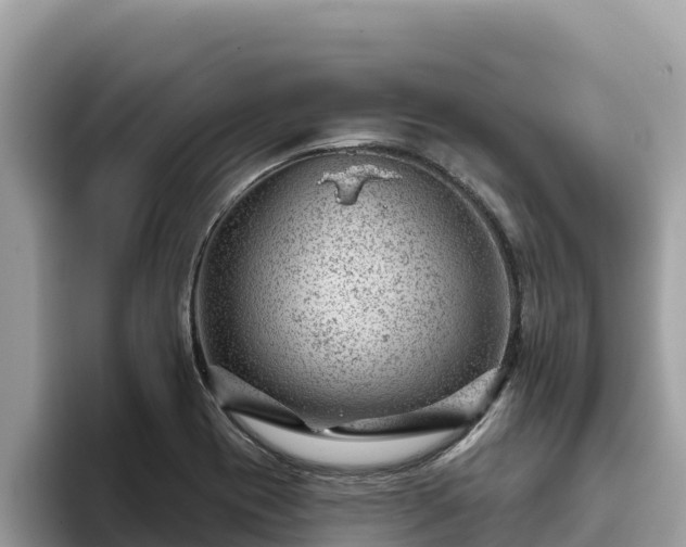 X0000093421417200710190956