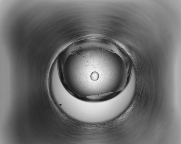 X0000093421418200710190956