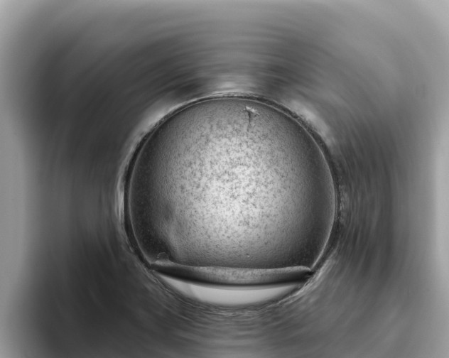 X0000093421419200710190956