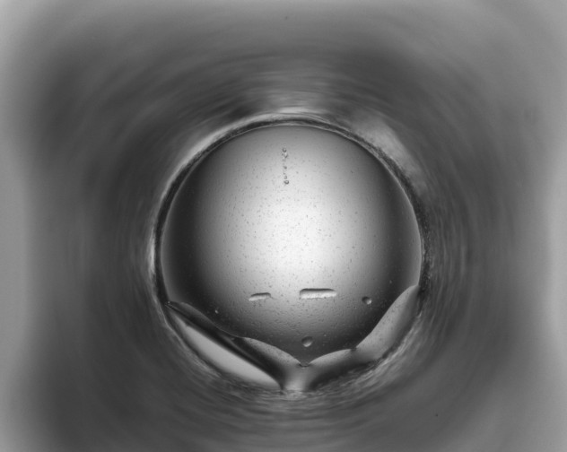 X0000093421420200710190956