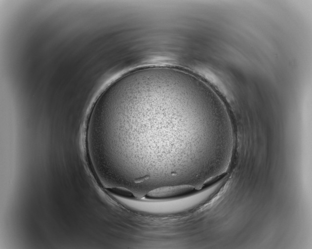 X0000093421421200710190956
